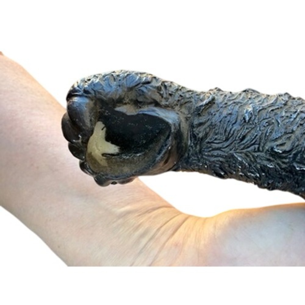 Black Bear Wall  Toilet Paper Roll Holder Brown Rustic Animal Country Cabin Core